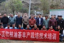 以評促干激活力 精準(zhǔn)施策育人才-岑溪生活—站式岑溪本地生活服務(wù)平臺 m.liuxuelu.cn