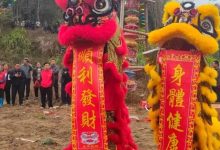 元宵狂歡！誠(chéng)諫四村齊搶花炮，非遺民俗燃爆新春-岑溪生活—站式岑溪本地生活服務(wù)平臺(tái) m.liuxuelu.cn