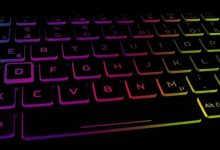 PDF-XChange，打開即plus版！-岑溪生活—站式岑溪本地生活服務(wù)平臺 m.liuxuelu.cn